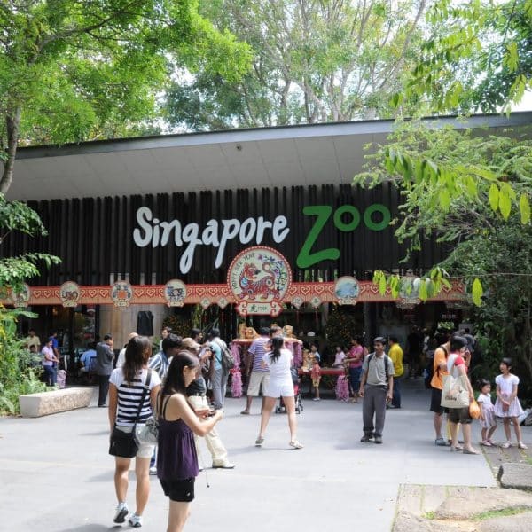 Singapore Zoo Tickets