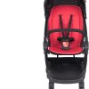 compact stroller for rent